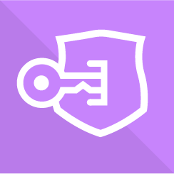 Licenses Manager for WooCommerce icon