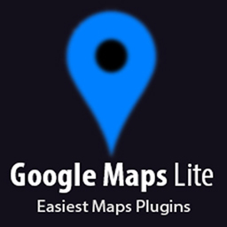 Lite Google Map icon