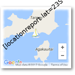 Location Report icon