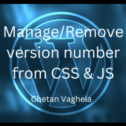 Manage/Remove version number from CSS & JS icon