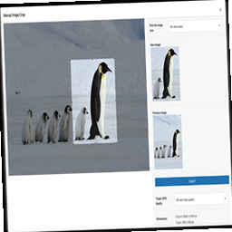 Manual Image Crop icon