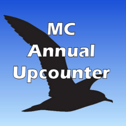 MC Annual Upcounter icon