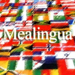 Mealingua Posts and Pages Translations icon