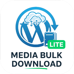 Media Bulk Download icon