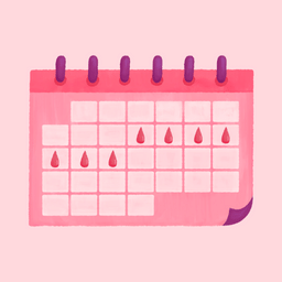 Menstrual Cycle Calculator icon