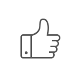 mi13-like icon