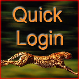 Mindstien Quick Login icon