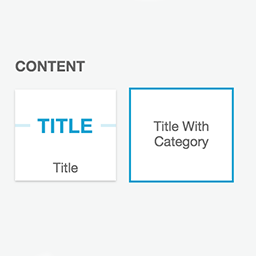 Mino Flatsome Title With Category icon