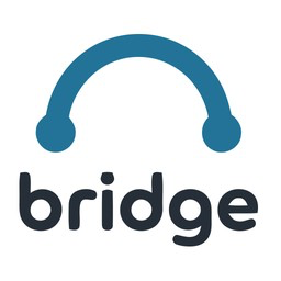MKM Digital Social Publisher Bridge to Buffer icon