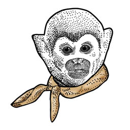Monkey in Silk icon
