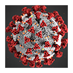 MSIT Corona Virus Live Update Widgets icon