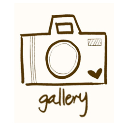 Multi Gallery for Posts and cutom posts icon
