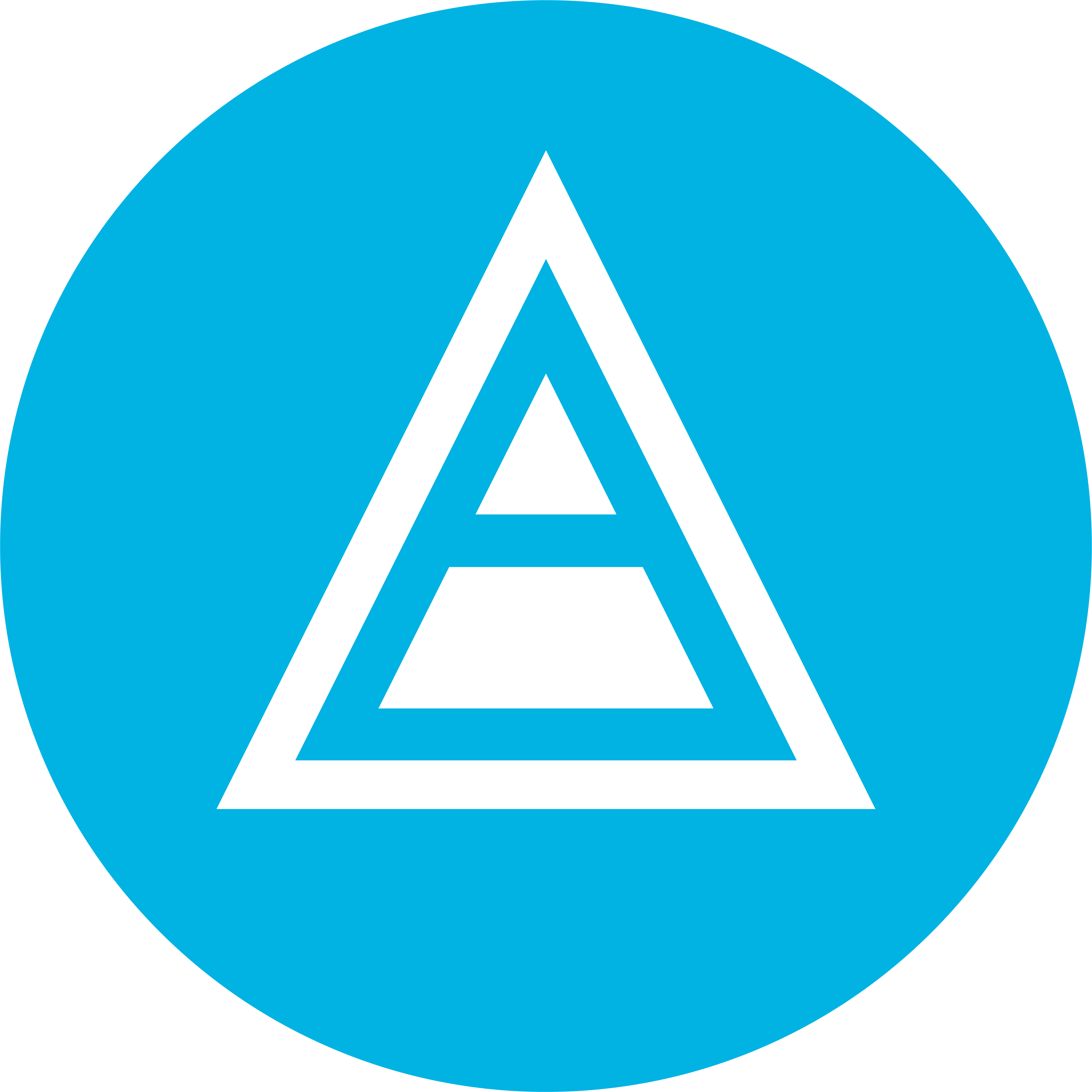 Netpeak Analytics Kit icon