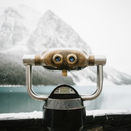 Network Database Search icon