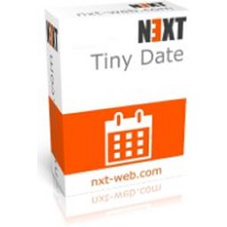 Next Tiny Date icon