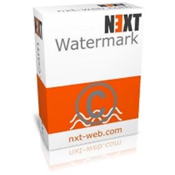 Next Watermark icon