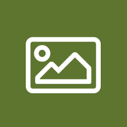 NextGEN Download Gallery icon