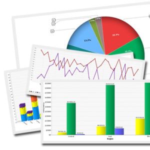 Ni WooCommerce Sales Report icon