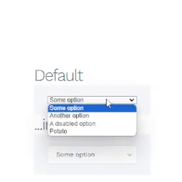 Nice Select for WordPress icon