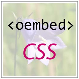 oEmbed styling icon