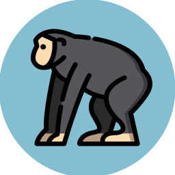 MailChimp Campaigns icon