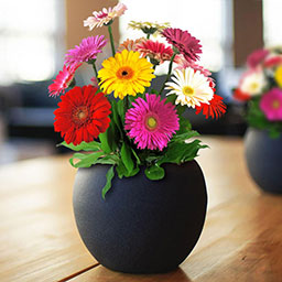 Options for Twenty Seventeen icon