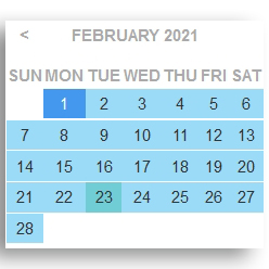Orders Date Filter icon
