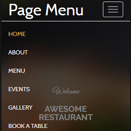 PageMenu icon