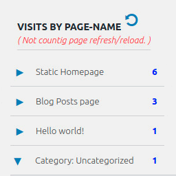 Page Visits Counter – Lite icon