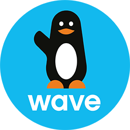 Paiement Wave Senegal icon