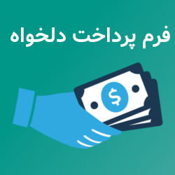 پلاگین پرداخت دلخواه icon