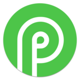 Payid19 Crypto Payment Gateway icon