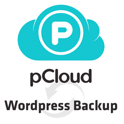 pCloud Backup icon