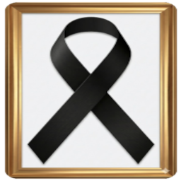 Phayoune Site Ribbon icon