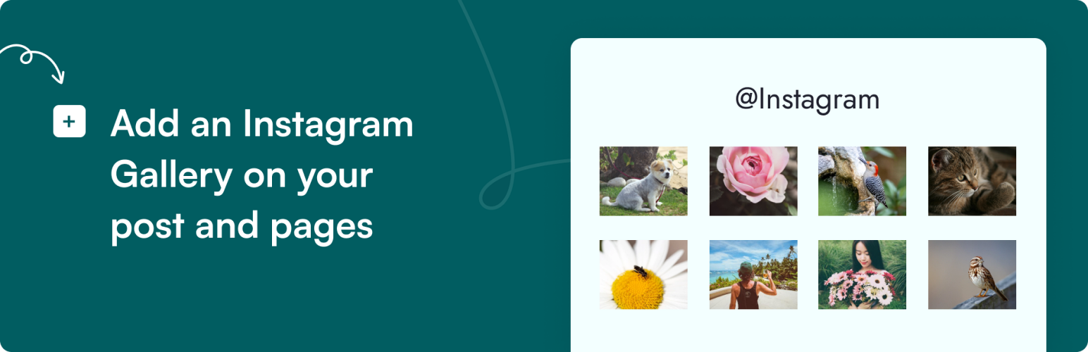 Plugin Banner