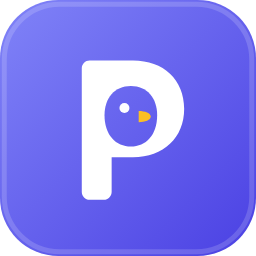 Pingvera icon