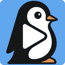 PingVid icon