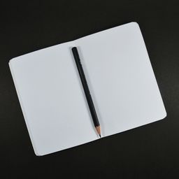 Plugin Display Page icon