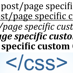 Post/Page Specific Custom Code icon