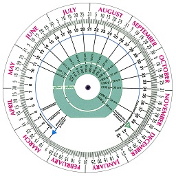 Pregnancy Calculator icon
