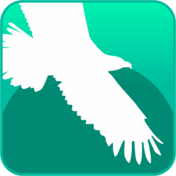 Primo Vars icon