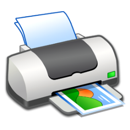 🖨 Print icon