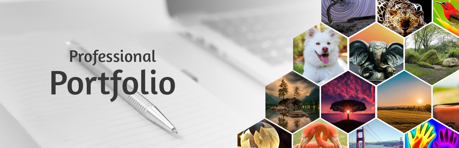 Plugin Banner