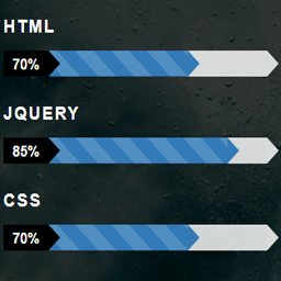 Progress Skill Bar icon