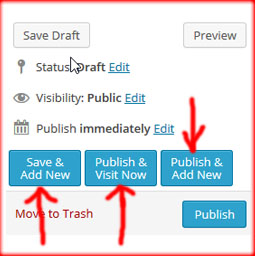 Publish And Redirect To Add New Post icon