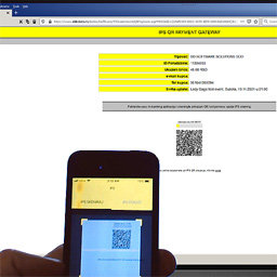 DD QR Payment Gateway Interface icon
