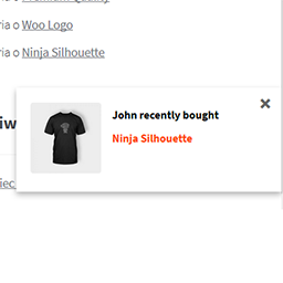 Recently Bought This for WooCommerce icon