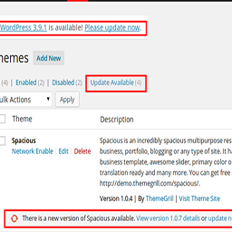 Remove Update Notification icon