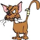 Daily and hourly rent of cars, apartments, things, cats. icon