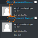 SM Replace Howdy icon